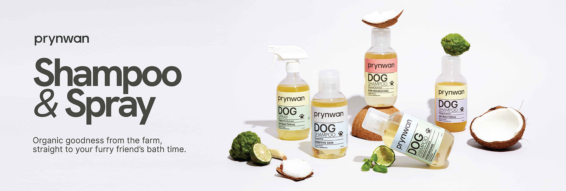 slider image slider_item_RyjF4U