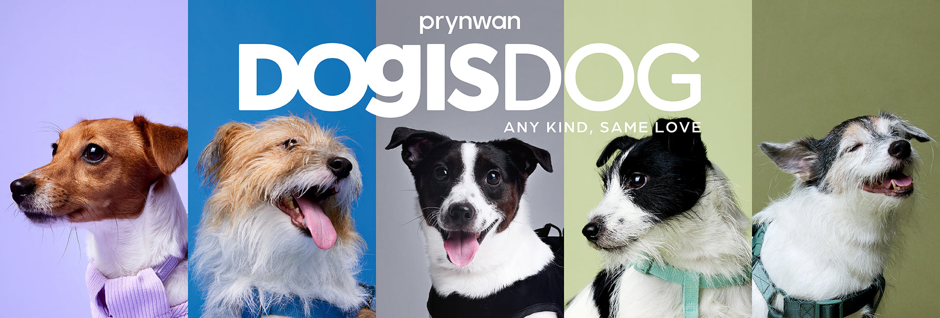 slider image slider_item_GgNMXG