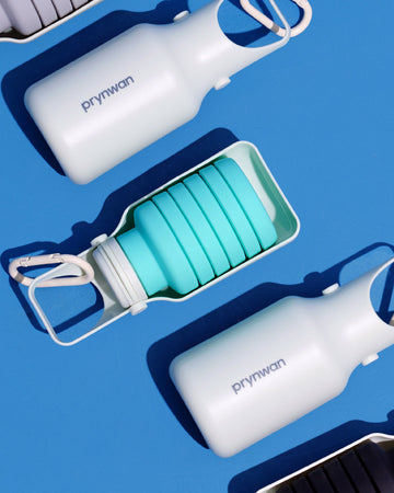 Collapsible Bottle Olive Blue