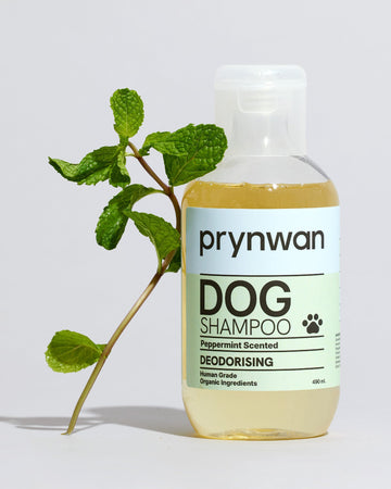 Deodorizing Shampoo