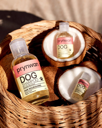 Hair Nourishing Shampoo