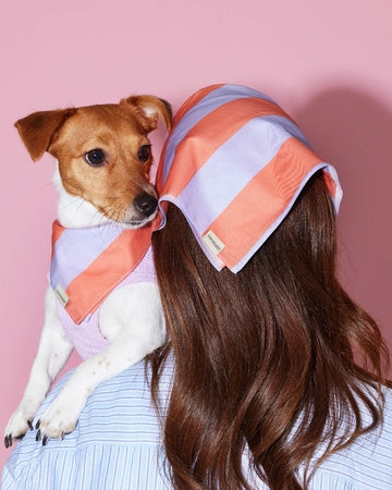 Prynometry Duo Bandana Purple