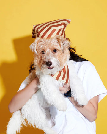 Prynometry Duo Bandana Brown