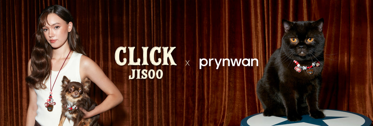 collection-banner-image