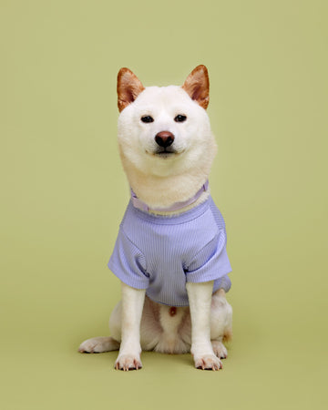 Short Sleeve T-Shirt Viola