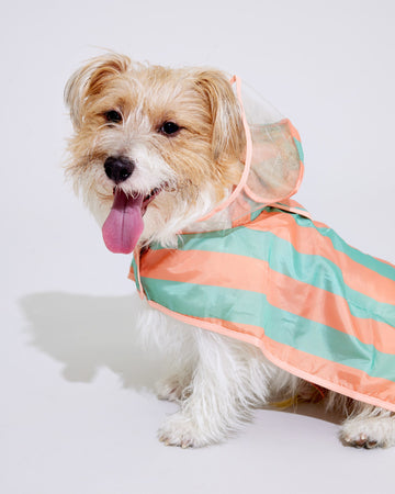 Two tone Poncho Raincoat Orange Mint